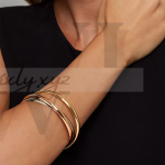 Cartier Trinity Bangle Bracelet 18k: The Timeless Elegance of a Classic Jewelry Piece